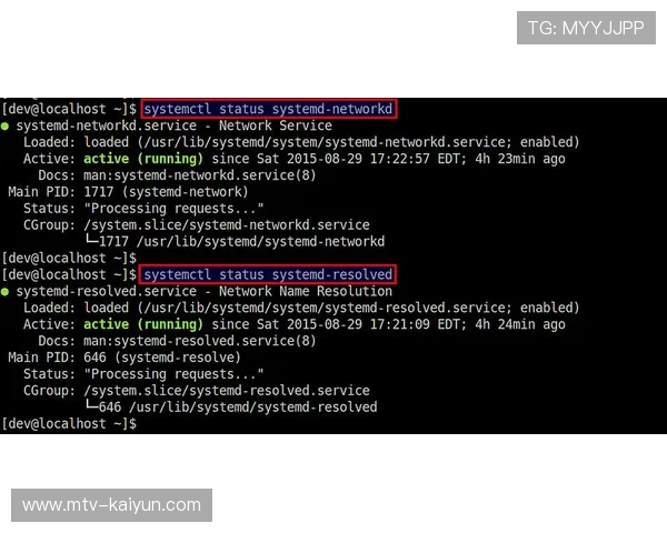 自适应码率切换技术优化，保障复杂网络下观看。